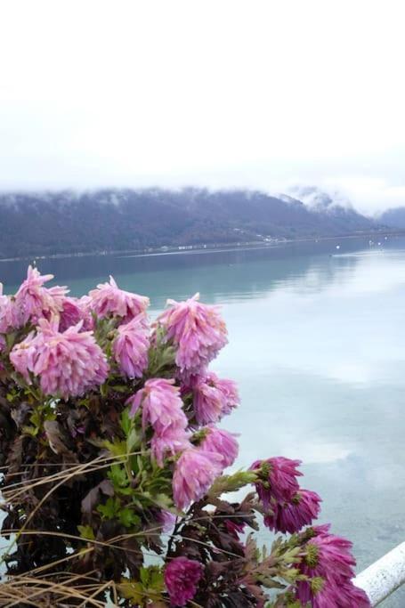 Coconlagon Serenite Au Lac D'Annecy Doussard Extérieur photo